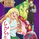 Osake wa Fuufu ni Natte kara