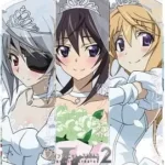 IS: Infinite Stratos 2 – Infinite Wedding