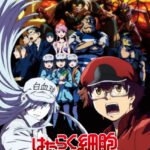 Hataraku Saibou Black