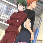 Wotaku ni Koi wa Muzukashii OVA