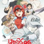 Hataraku Saibou!!