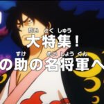 One Piece: Dai Tokushuu! Momonosuke no Mei Shougun e no Michi