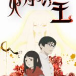 Hikari no Ou 2nd Season