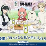 Ayataka Spy x Family Movie Campaign Ayataka de Hotto Hitoiki