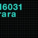 Ct16031