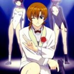Najica Dengeki Sakusen
