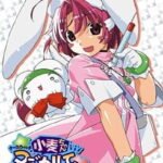 Nurse Witch Komugi-chan Magikarte Special