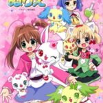 Jewelpet Twinkle☆: Hohoemi no Niji ni Dokki☆Doki!