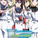 IS: Infinite Stratos