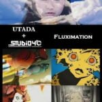 Fluximation
