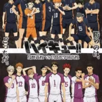 Haikyuu!! Karasuno Koukou vs. Shiratorizawa Gakuen Koukou