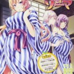 Shokugeki no Souma: Ni no Sara OVA
